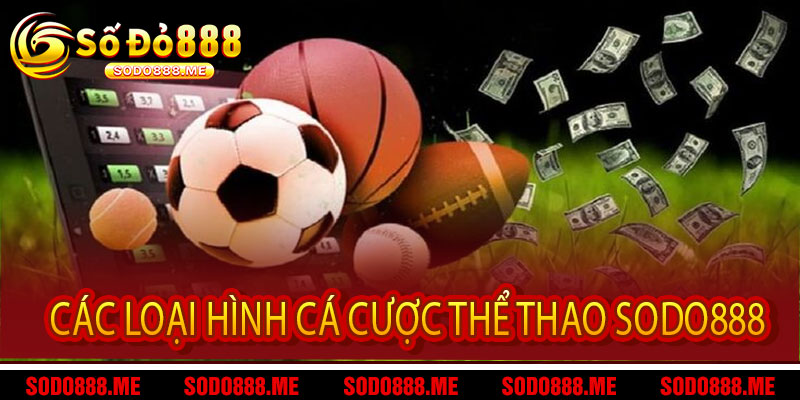 thể thao Sodo888