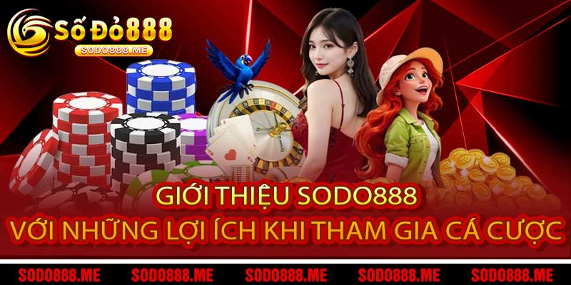 Giới Thiệu Sodo888